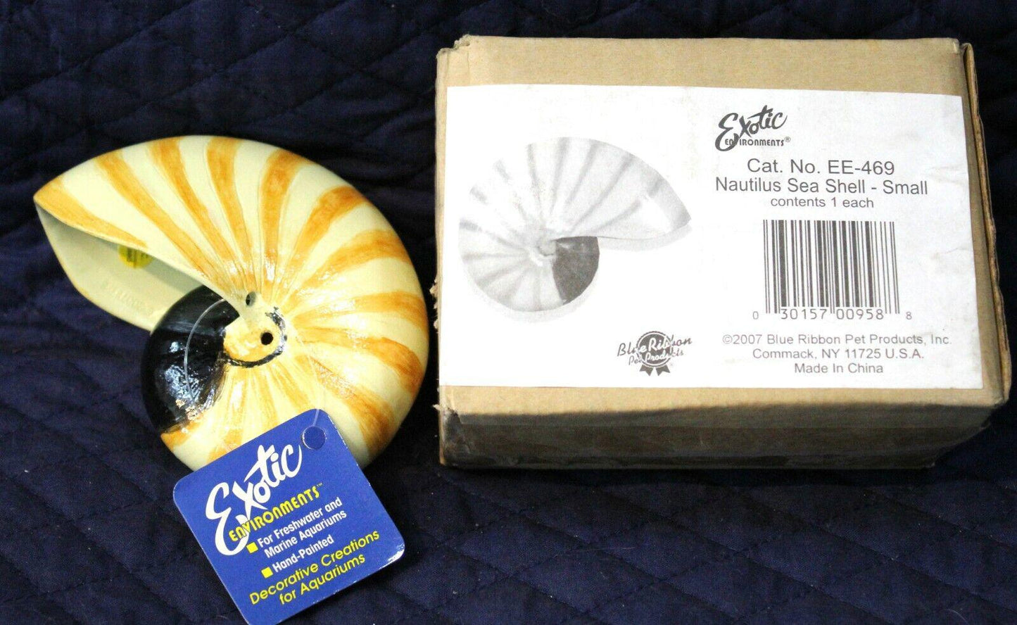 Exotic nautilus sea shell small with yellow and black spiral design.
