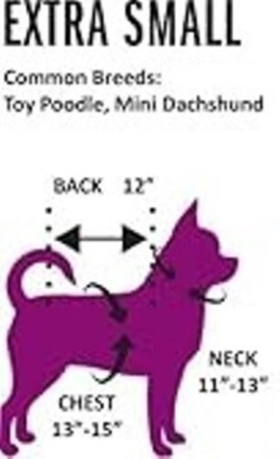Extra Small dog size chart for Toy Poodle and Mini Dachshund with measurements for back, neck, and chest.
