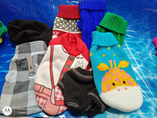 Dog Outfit Bundle ( Xtra Small 4 to 6 Pound Pets ) Brand New Save with a Bundle.