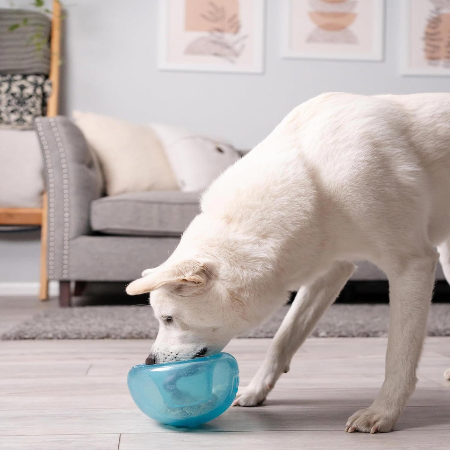 Large Snoop Interactive Treat Dispensing Dog Toy, Slow Feeder Puzzle Ball