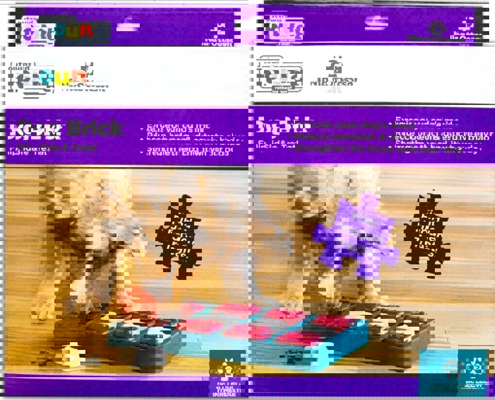 Outward Hound Nina Ottosson Dog Brick Dog Puzzle Interactive Treat Puzzle