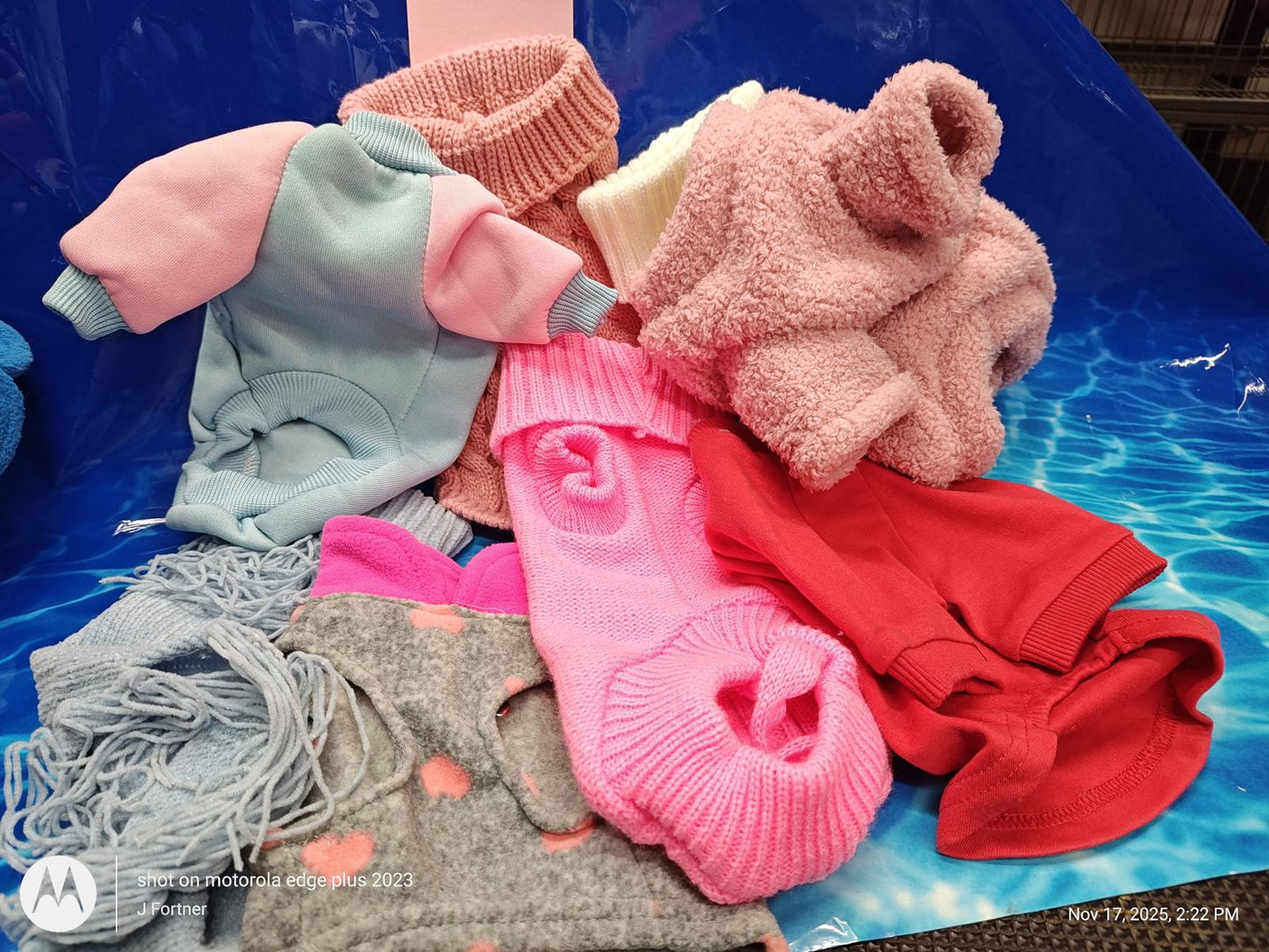 Dog Outfit Bundle ( Xtra Small 4 to 6 Pound Pets ) Brand New Save with a Bundle