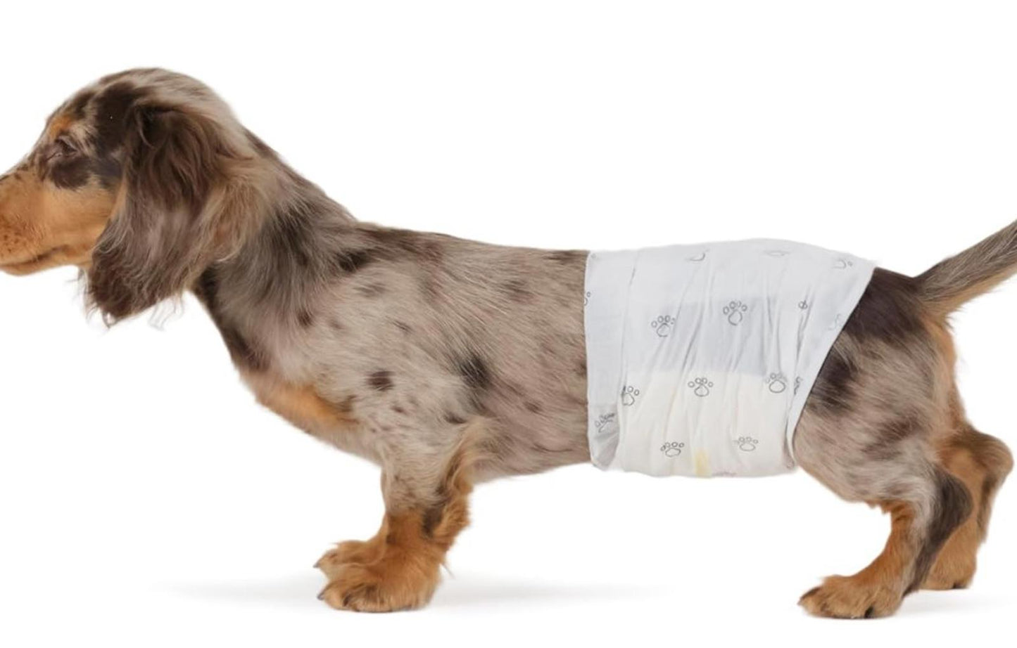 Male Dog Wraps, Disposable - Xtra -Small Pack of 30 count