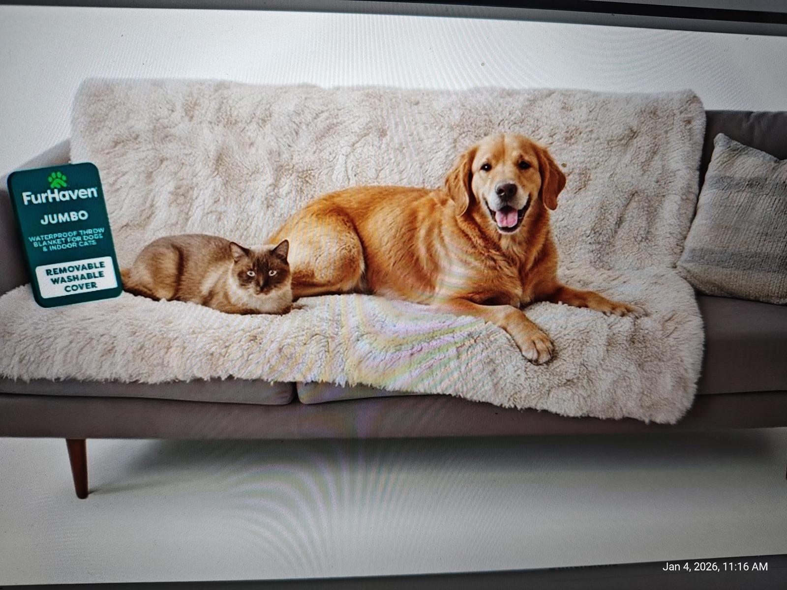 Furhaven pet bed on a couch with a golden retriever and a cat resting together.