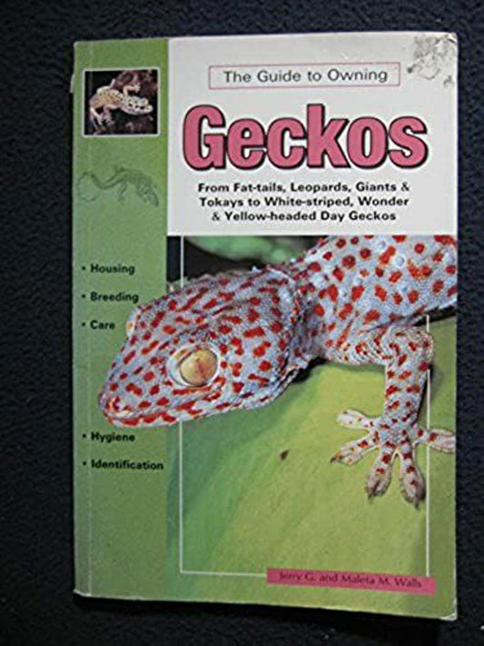 Geckos book cover featuring various gecko species and care tips for owners.