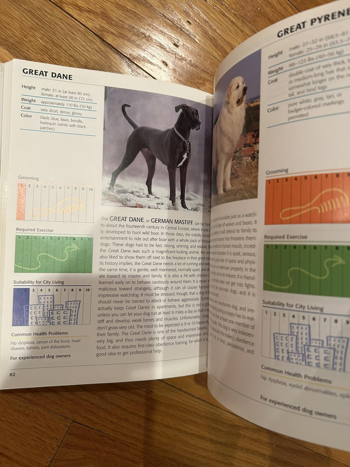 Great Dane breed information page featuring a black Great Dane and a white dog.