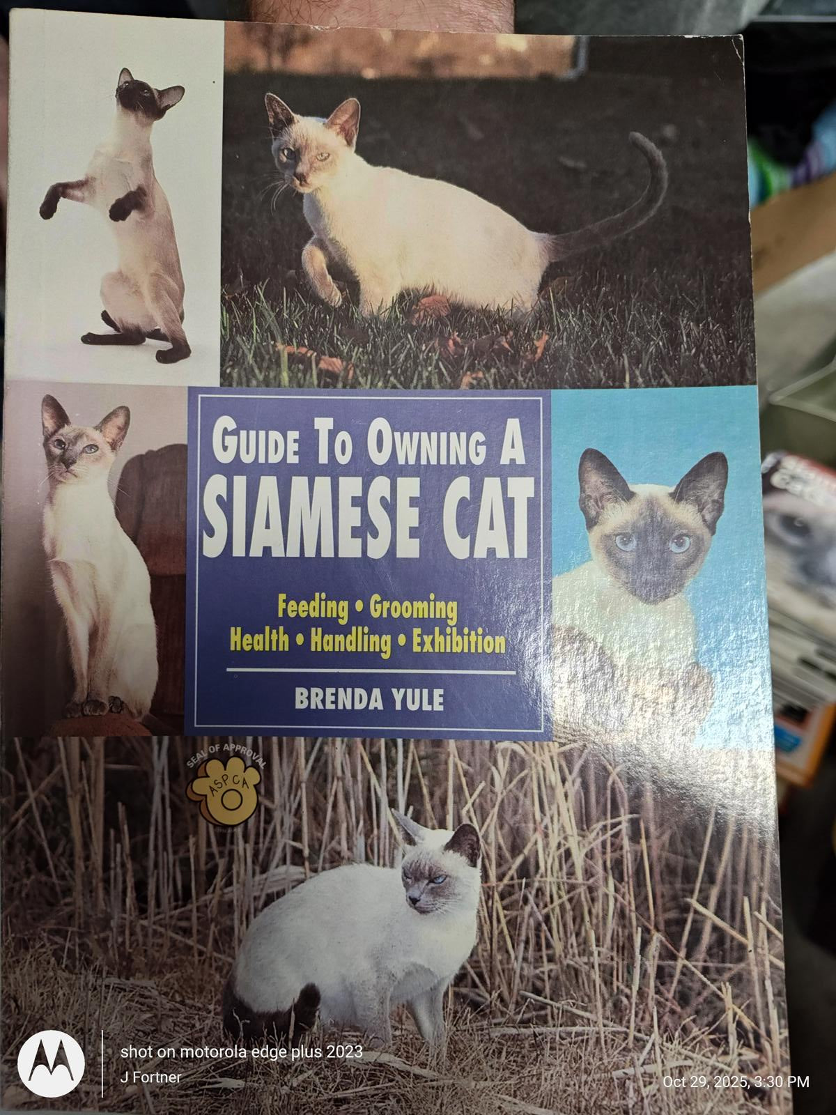 Siamese Cat book cover featuring various Siamese cats in playful poses.