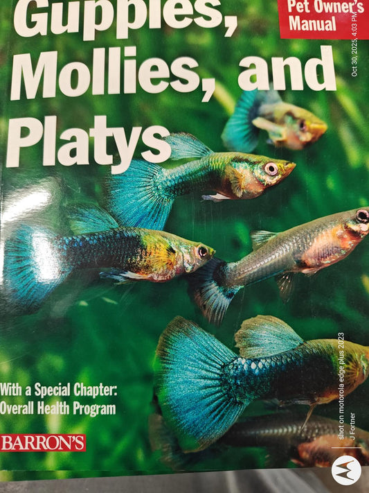 Guppies, Mollies, and Platies book cover featuring colorful fish swimming in green water.