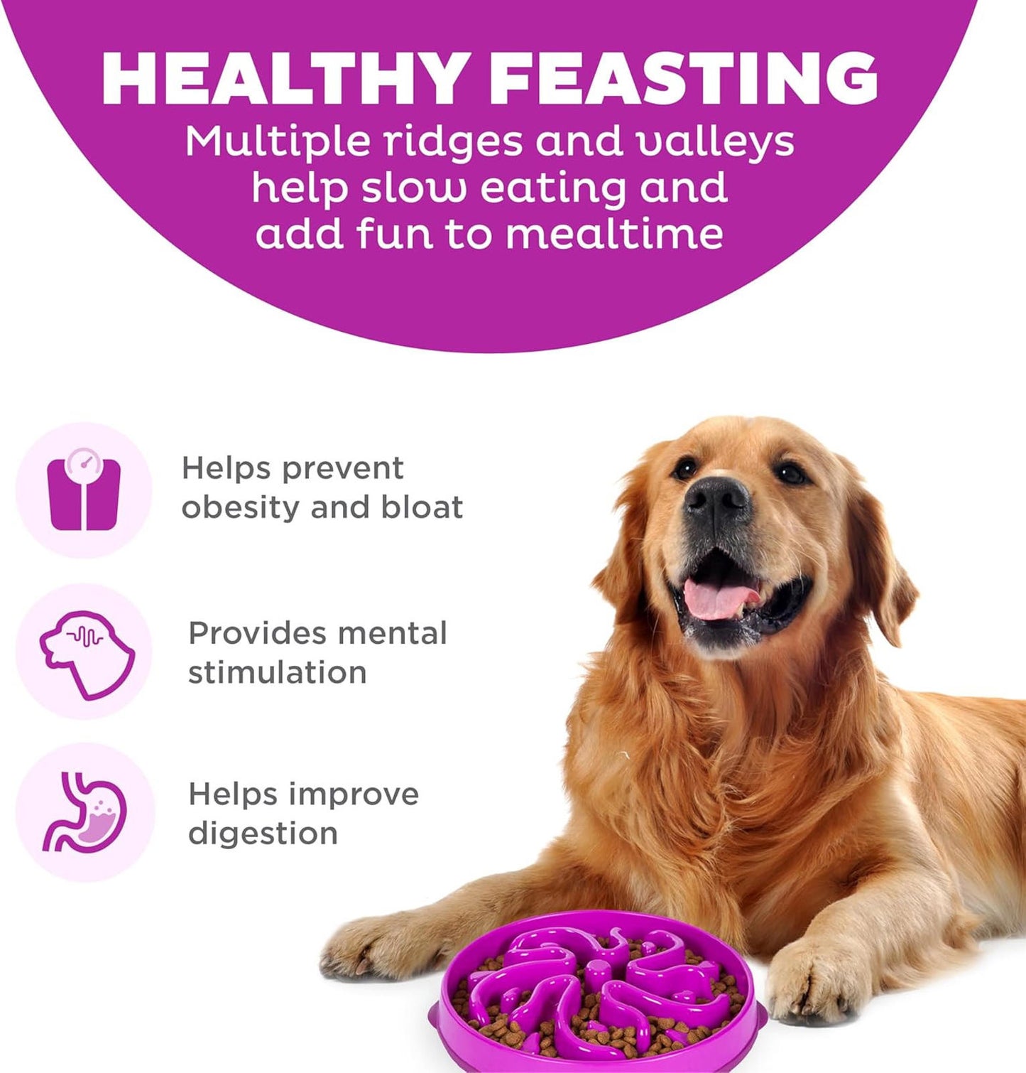 Healthy Feasting dog bowl features multiple ridges and valleys to slow eating and enhance mealtime fun.