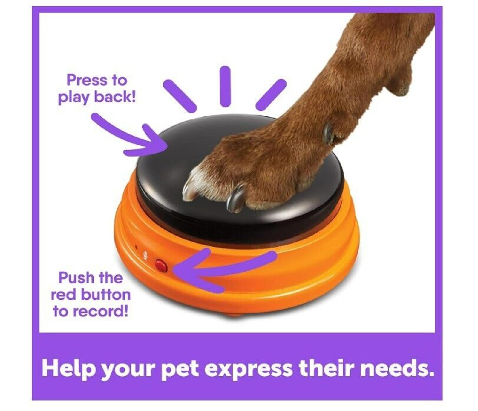 Help Your Pet Express Their Needs button with a dog's paw pressing the record button.