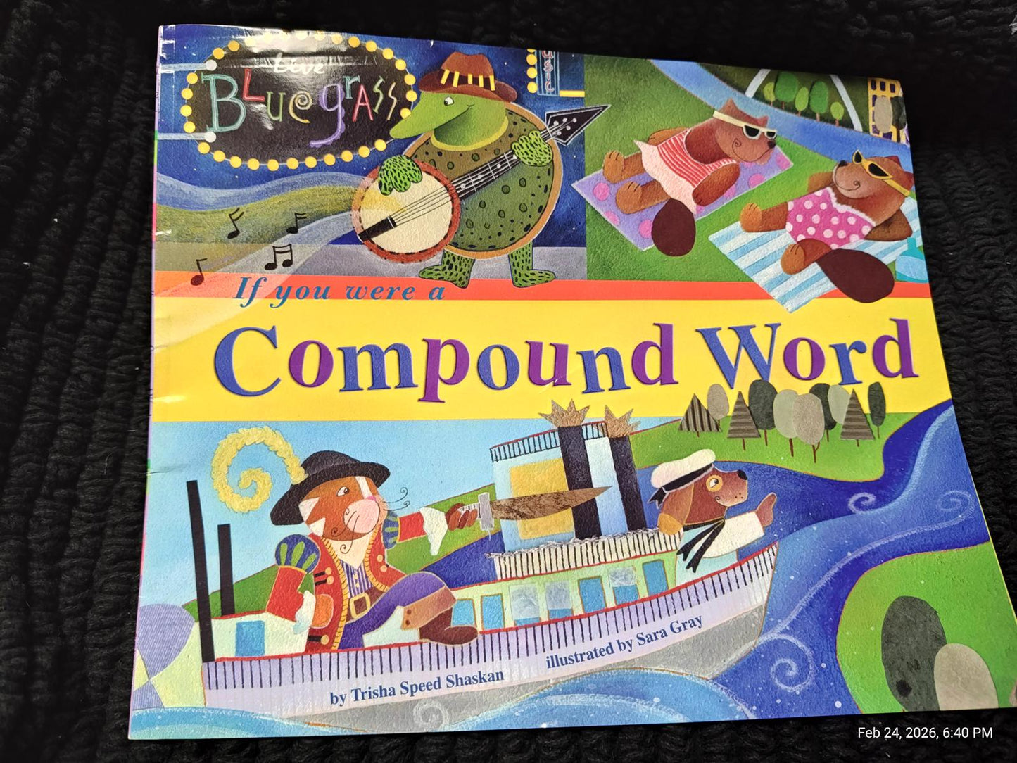 If You Were a Compound Word book cover featuring colorful illustrations and playful characters.