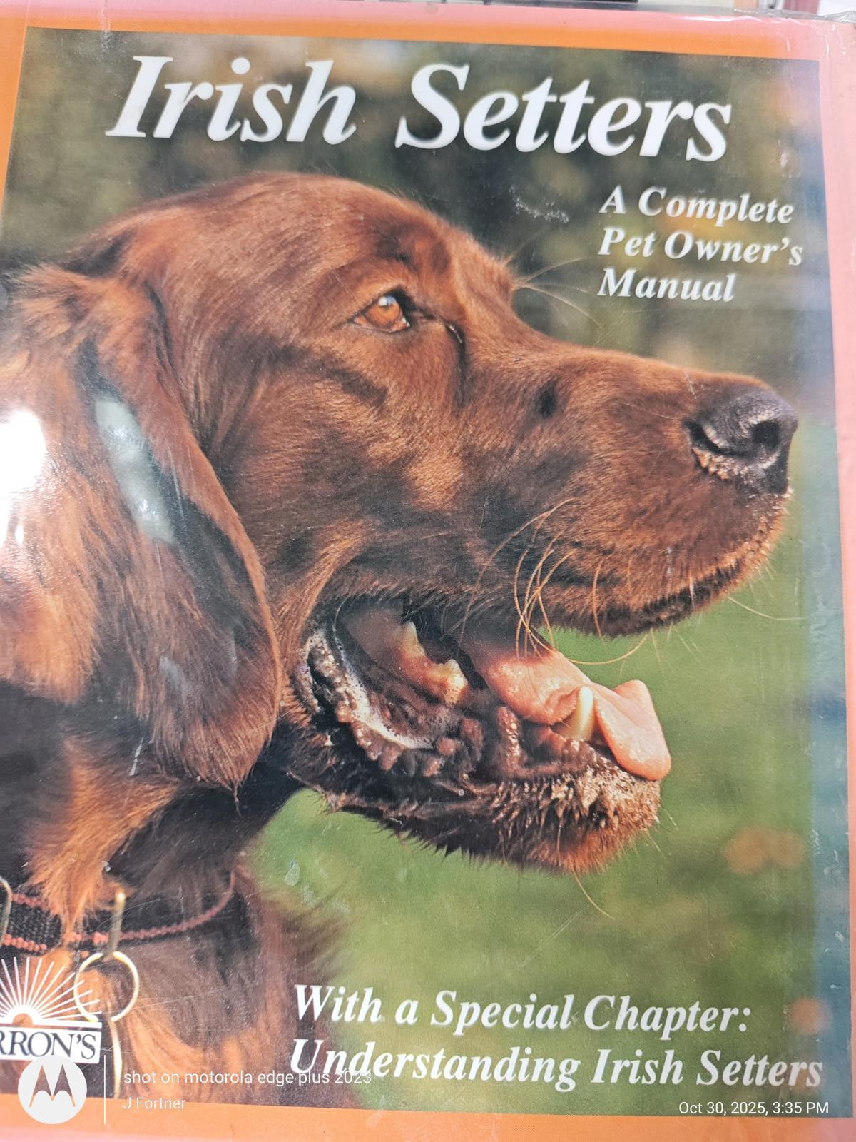 Irish Setters book cover featuring a golden-brown dog with a joyful expression.