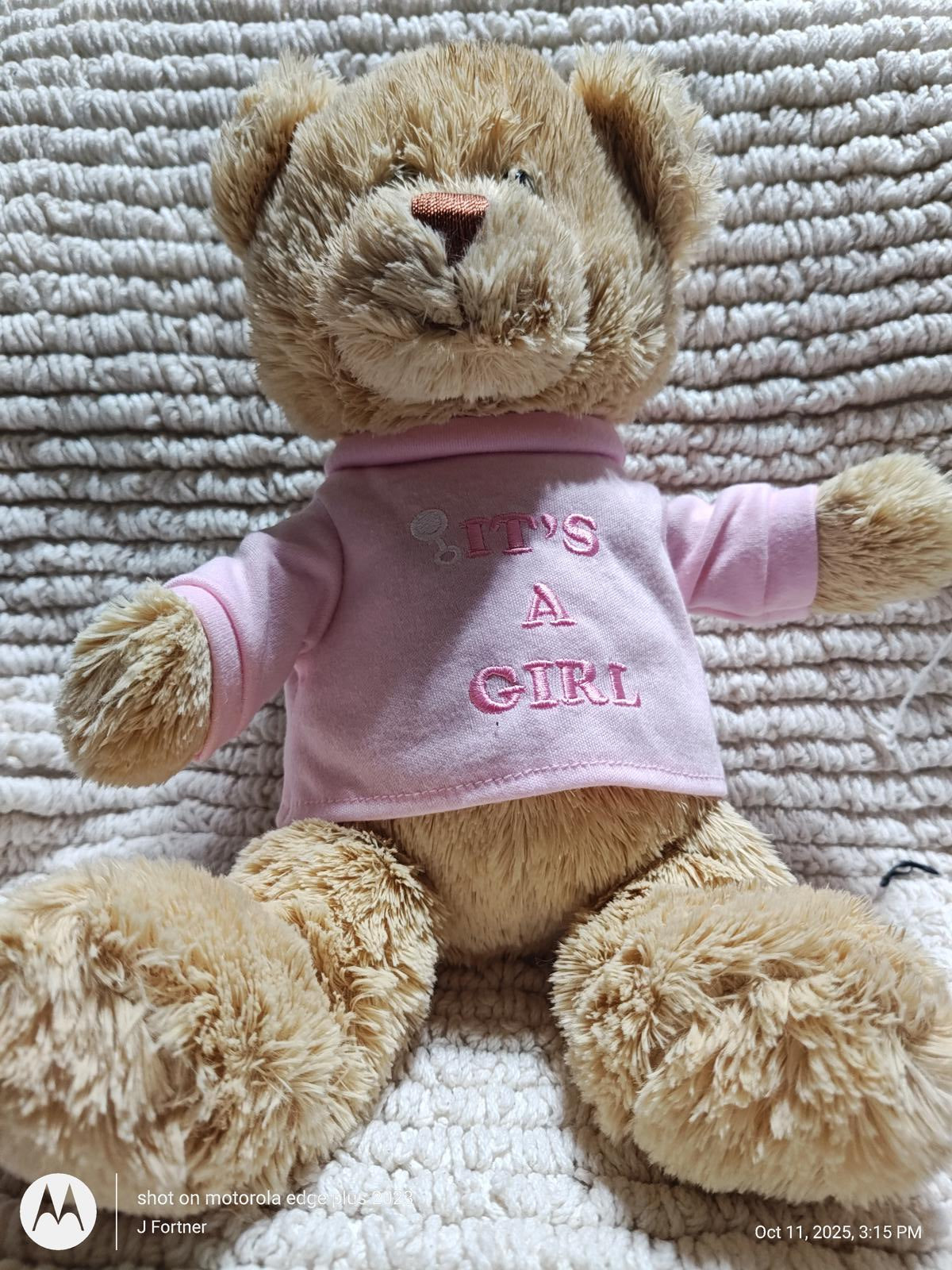It's a Girl teddy bear wearing a pink shirt with embroidered text. Soft and cuddly plush toy.