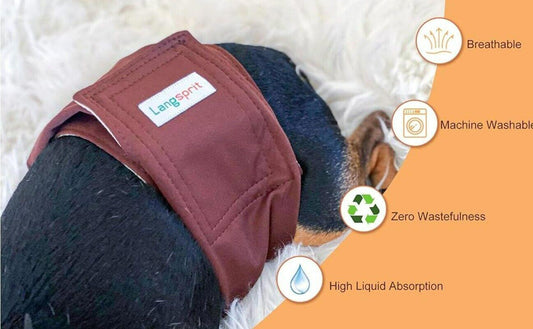 Langpet dog diaper in maroon color, featuring high liquid absorption and breathable fabric.