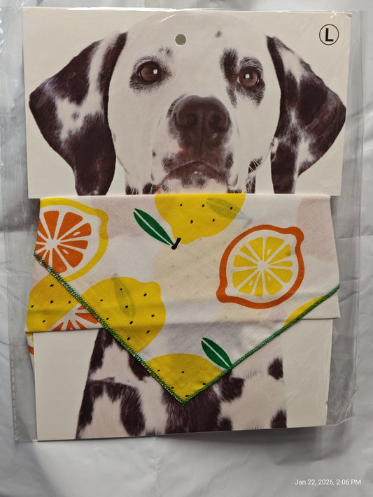 Lemon and lime patterned bandana for dogs, featuring vibrant colors and playful fruit design.