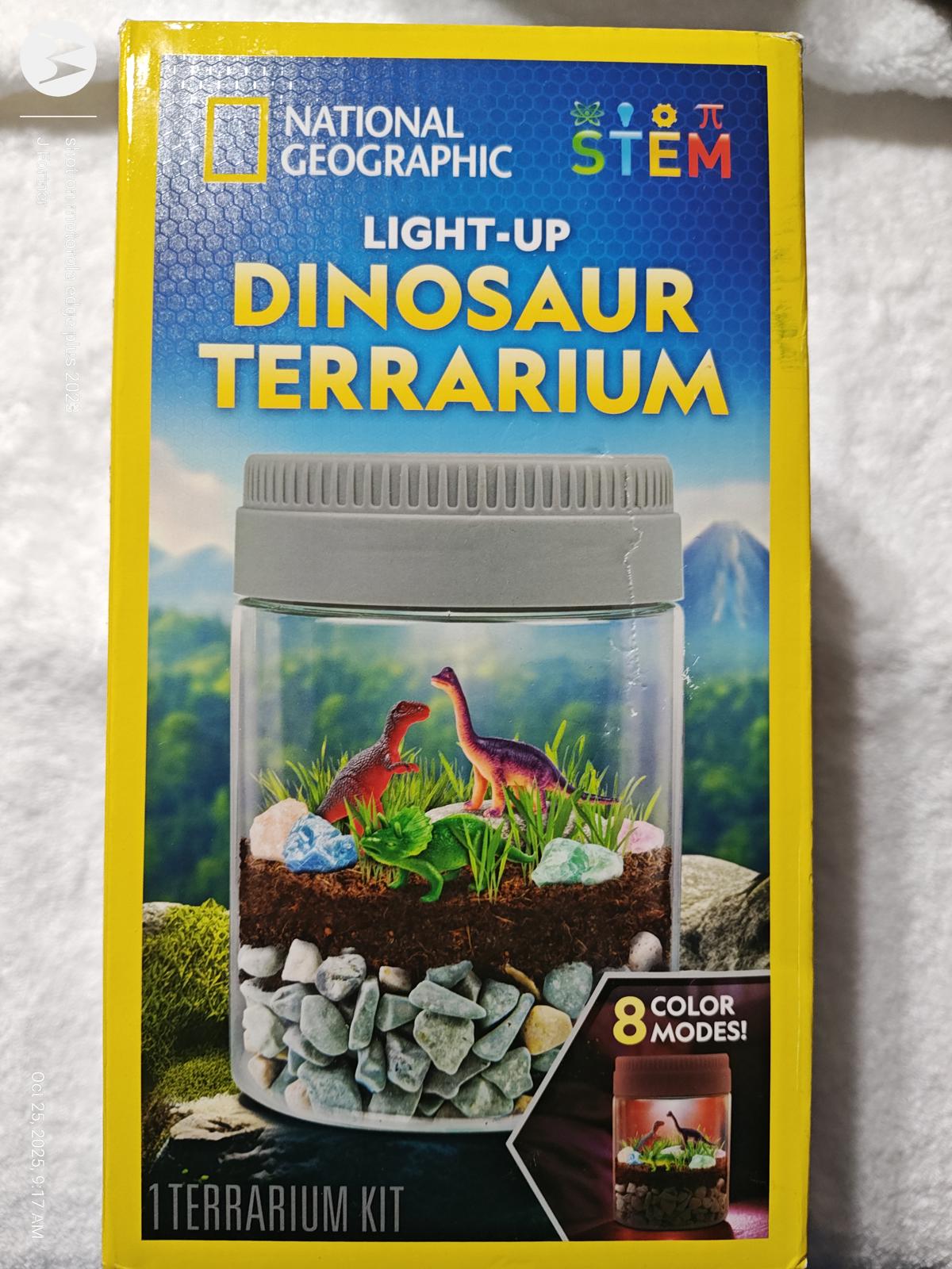 Light-Up Dinosaur Terrarium kit featuring colorful rocks and miniature dinosaurs.