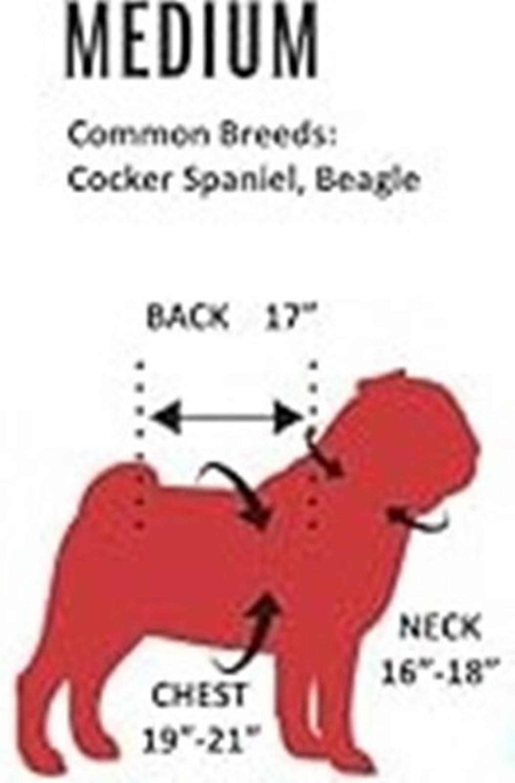 Medium dog size chart for Cocker Spaniel and Beagle breeds, showing back, chest, and neck measurements.