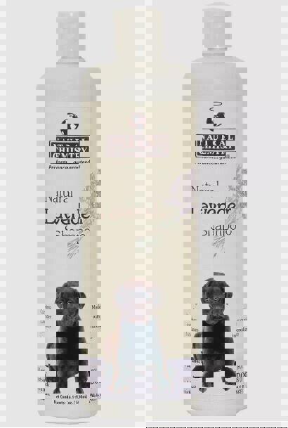 Natural Lavender Shampoo for dogs, featuring a lavender scent and a friendly dog on the label.