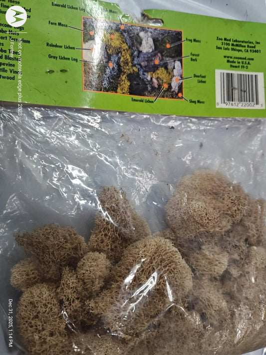 Natural Sphagnum Moss for terrariums and gardening, featuring a light brown color and soft texture.