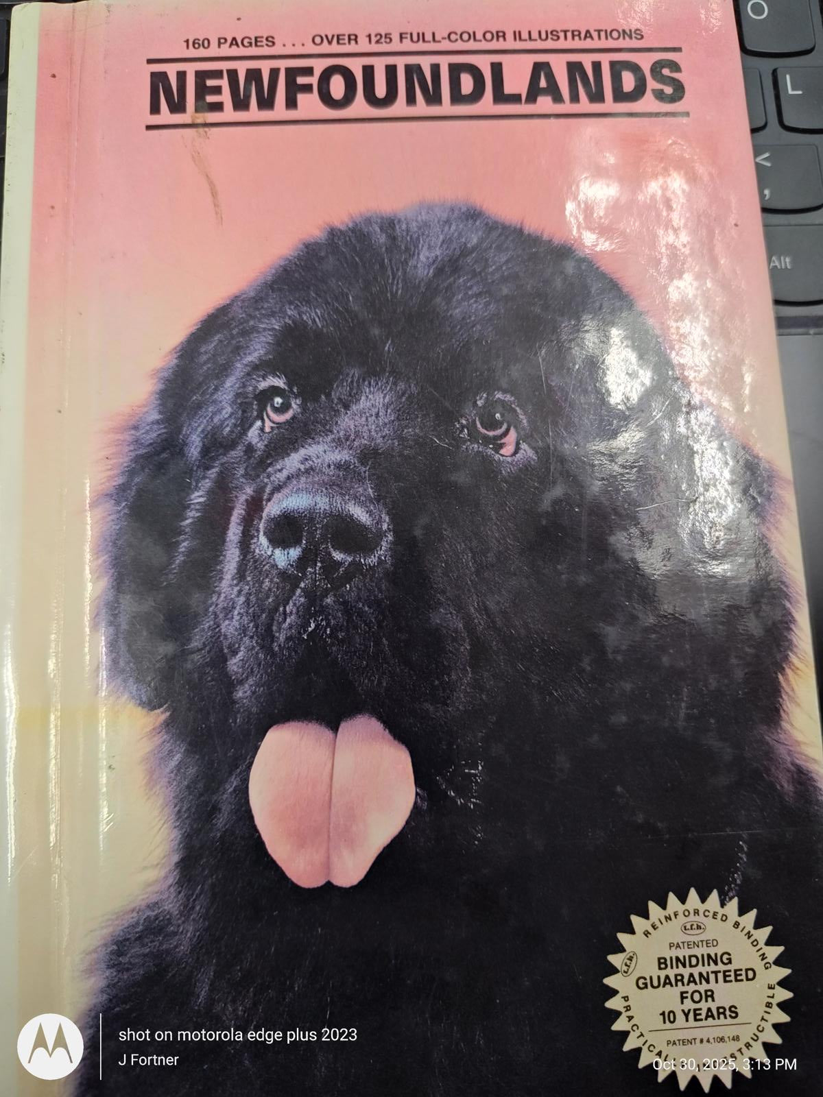 Newfoundlands book cover featuring a large black dog with a prominent tongue.