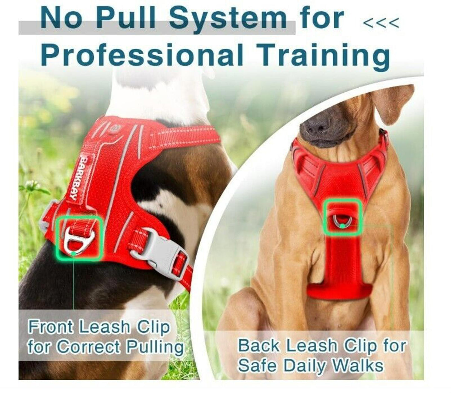 No Pull Dog Harness features front and back leash clips for safe daily walks and professional training.