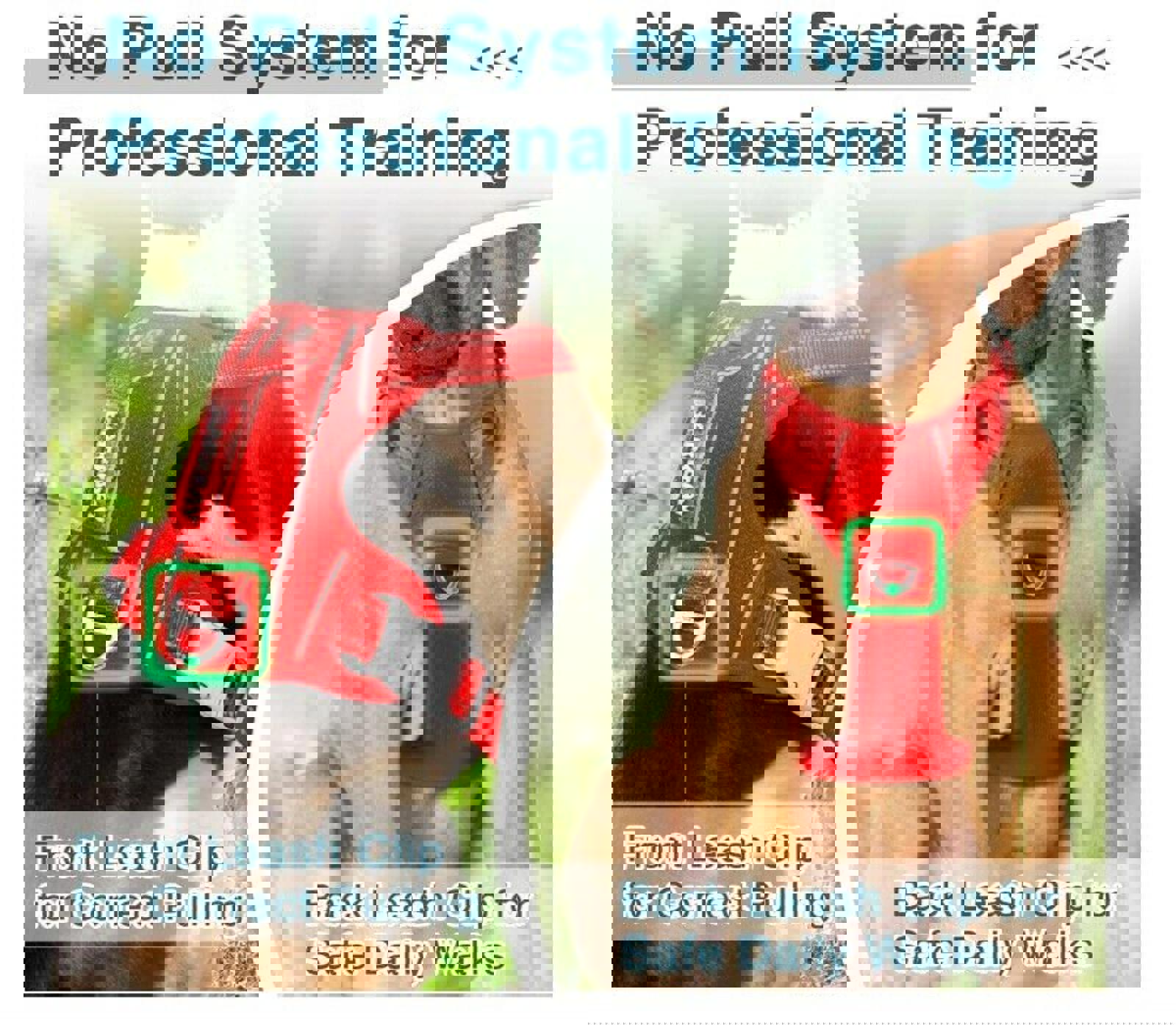 No Pull Dog Harness features front and back leash clips for safe daily walks and professional training.