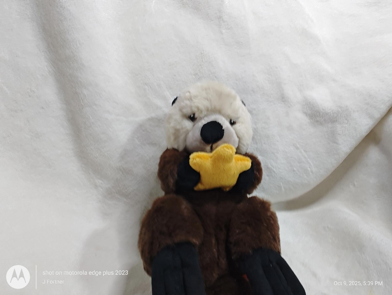 Otter plush toy holding a yellow star, soft and cuddly design.