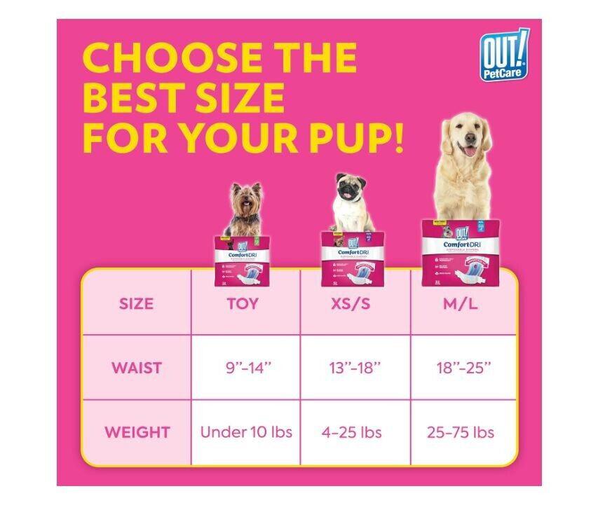 Out! PetCare size chart for dog products, featuring toy, XS/S, and M/L sizes with waist and weight details.