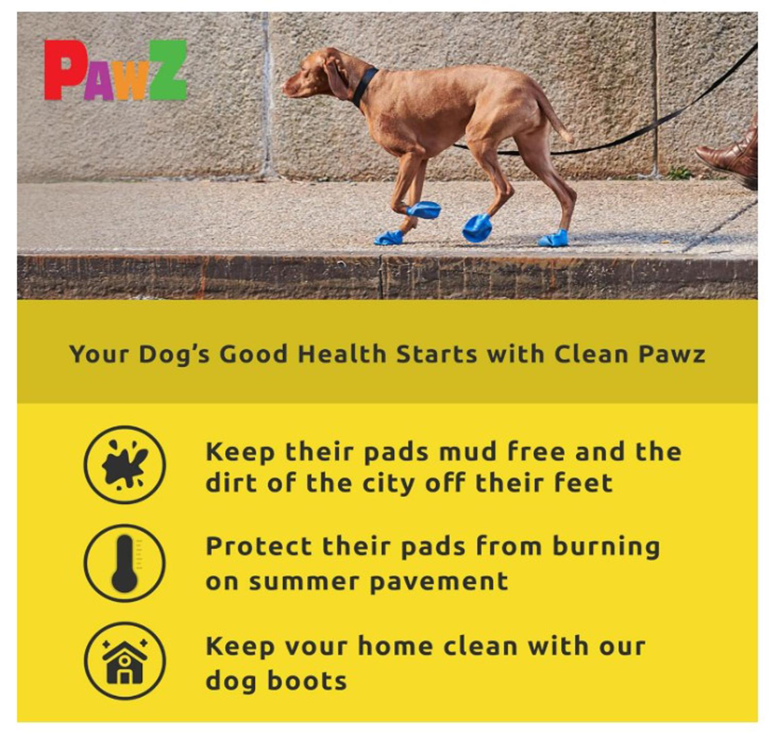 Pawz dog boots protect your dog's paws from dirt and heat while walking outdoors.