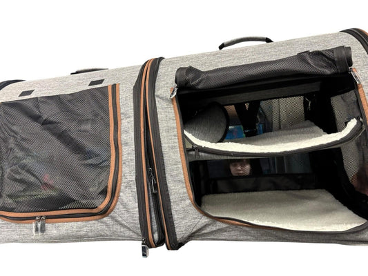 Pet Carrier Bag features spacious compartments and mesh windows for ventilation.