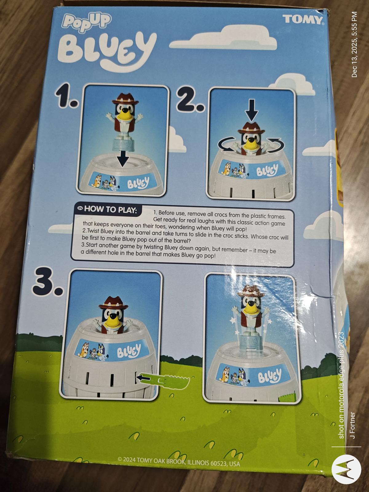 Pop Up Bluey game instructions showing steps to play with colorful graphics.