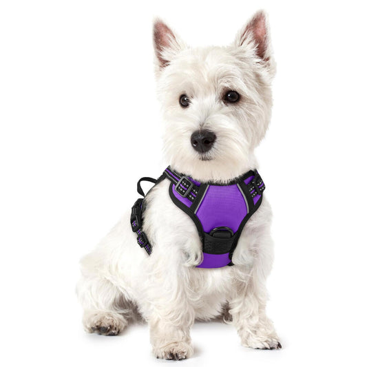 Purple Dog Harness designed for small breeds, featuring adjustable straps and a comfortable fit.