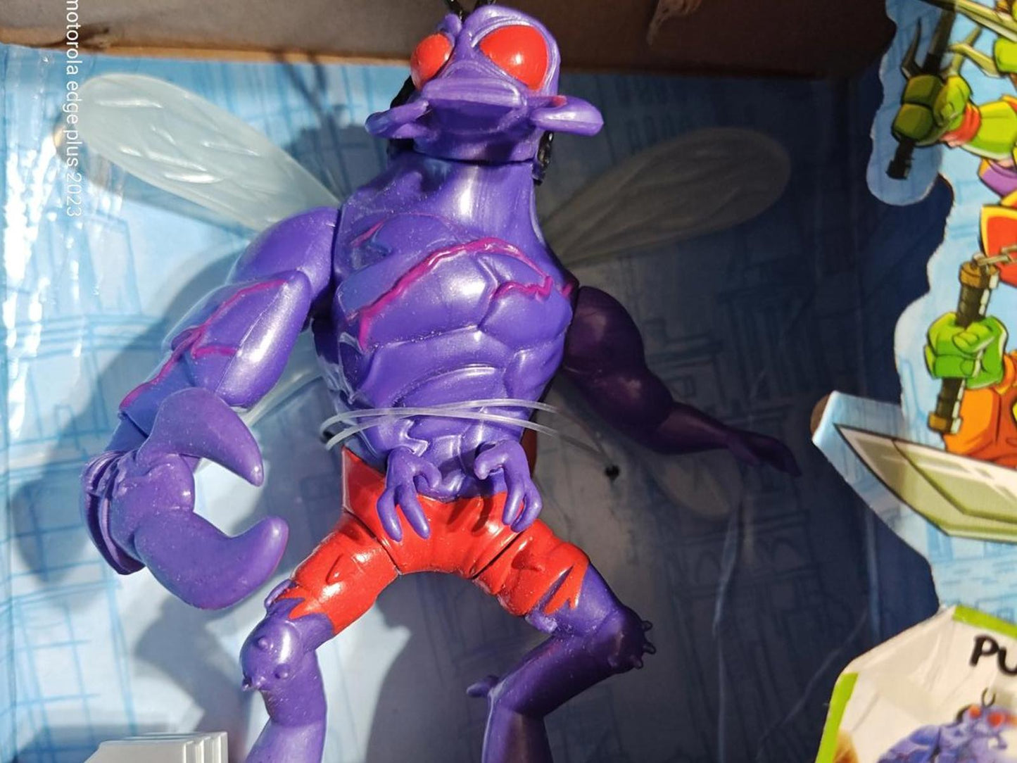 Purple Fly Action Figure with red shorts and wings, showcasing detailed features.