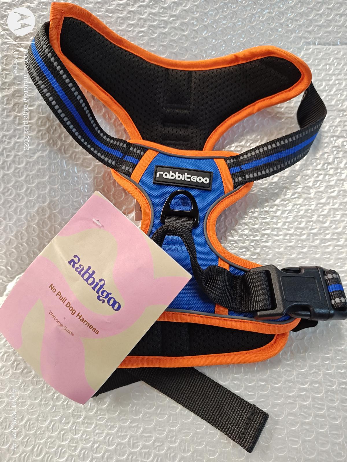 Rabbitgoo dog harness in blue and orange with adjustable straps and padded design.