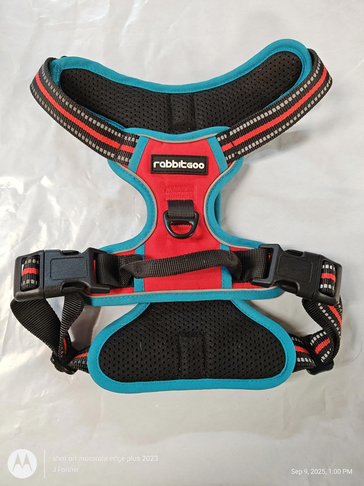 Rabbitgoo dog harness in red and blue with adjustable straps and breathable mesh.