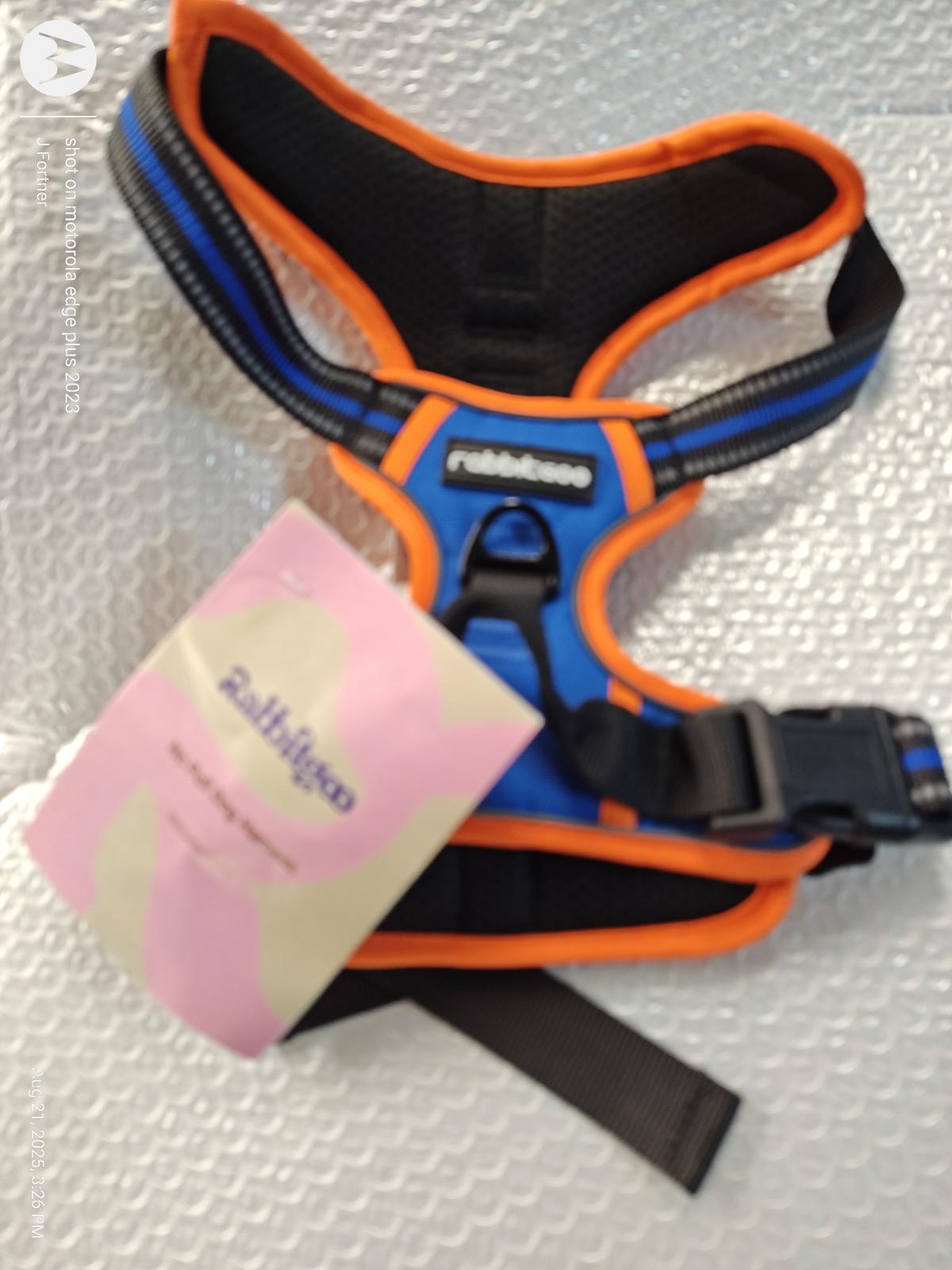 Rabbitoo dog harness in blue and orange with adjustable straps and tag.