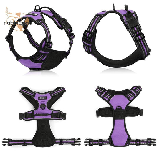 RabidCats purple dog harness featuring adjustable straps and padded design for comfort.