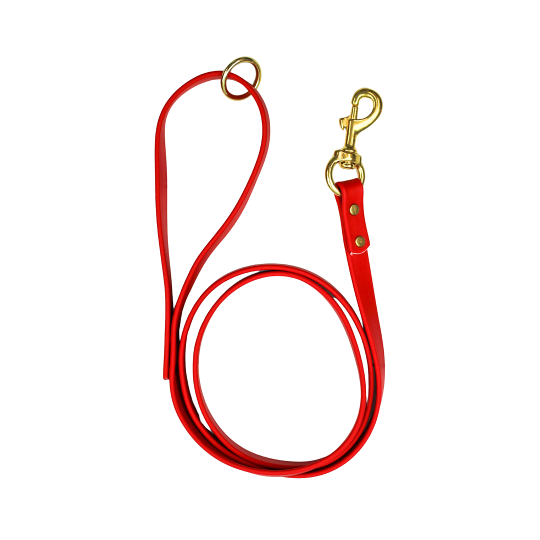 Red Dog Leash with gold hardware, featuring a sturdy clip and comfortable grip.
