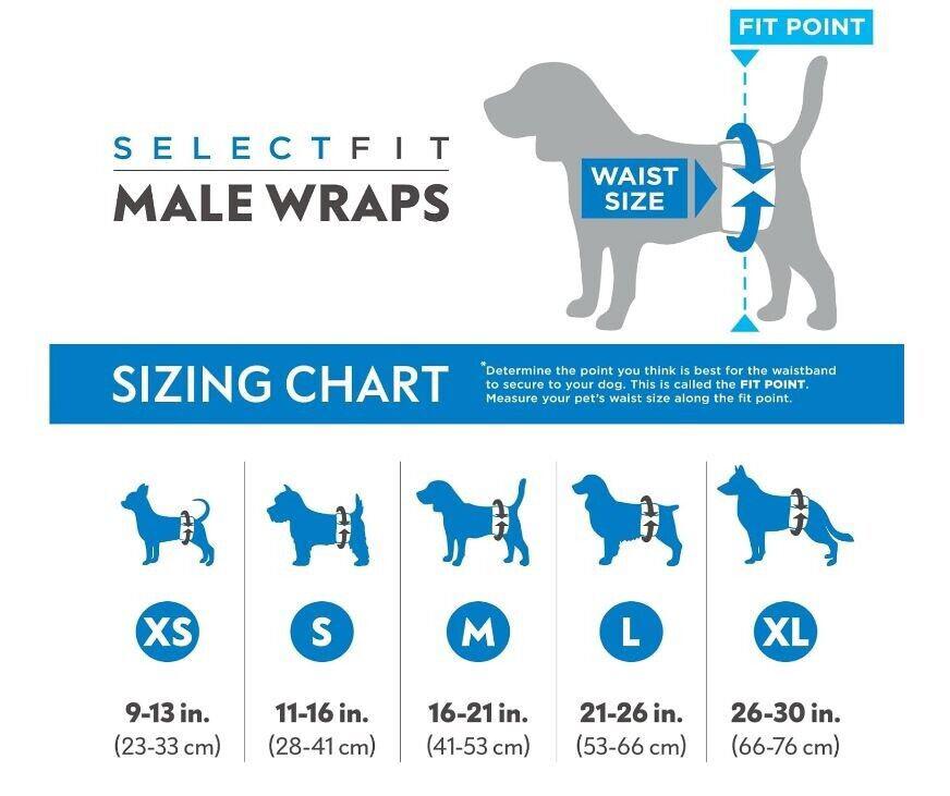 SelectFit Male Wraps sizing chart for dogs, showing waist sizes and fit points.