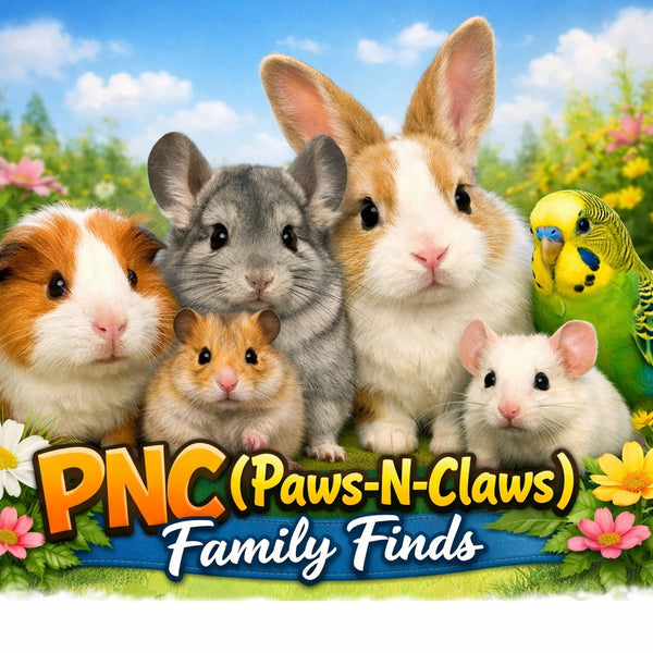 PNC Family FInds