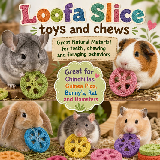 Loofah  Chews Natural and flavor Colored for Rabbit, Guinea Pigs & Rodents