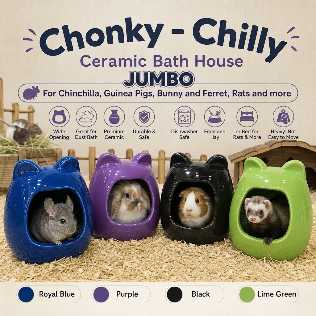 Ceramic Dust House – Chilly House Original by PNC Family FInds