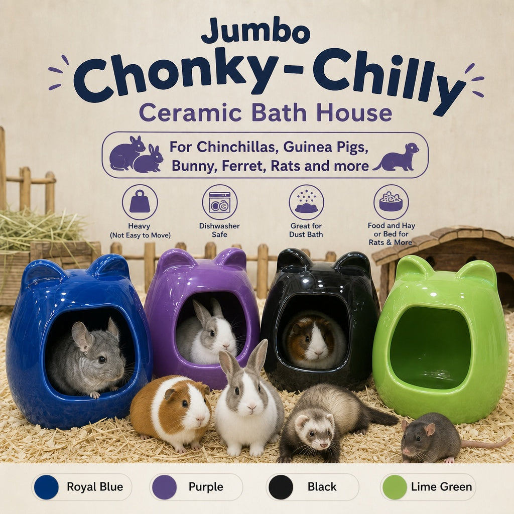 "Chonky Chilly" Ceramic Chinchilla Dust Bath Jumbo Size – Perfect for the Fun Sized pet