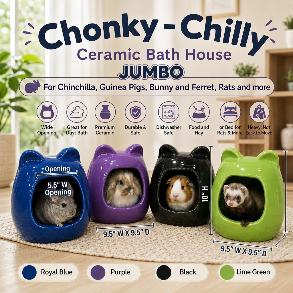 Large & Jumbo Sizes Ceramic  Home or Dish or Dust Bath Large & Jumbo Sizes