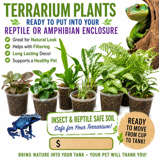 Live Plants Great for Pet Enclosures and More Grown by PNC