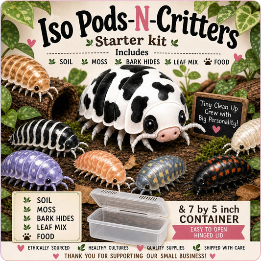 Isopod & Invertebrate Starter kit (Home only -no live included)