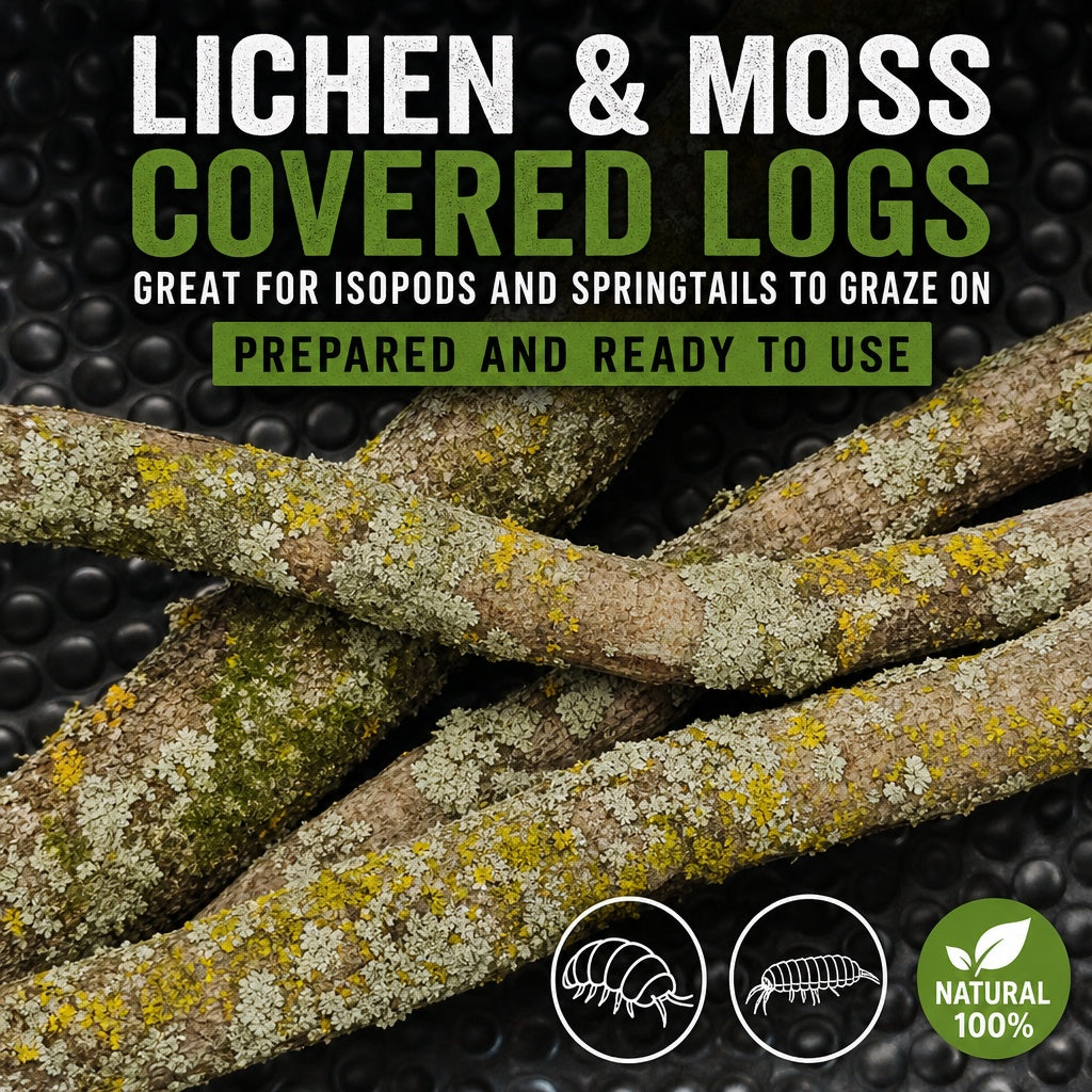 Lichen/Moss Small Log for Isopods & Bio Actives