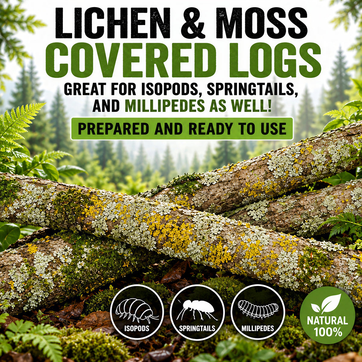 Lichen Sticks Bark Pieces – Natural Treats for Isopods by PNC Family FInds