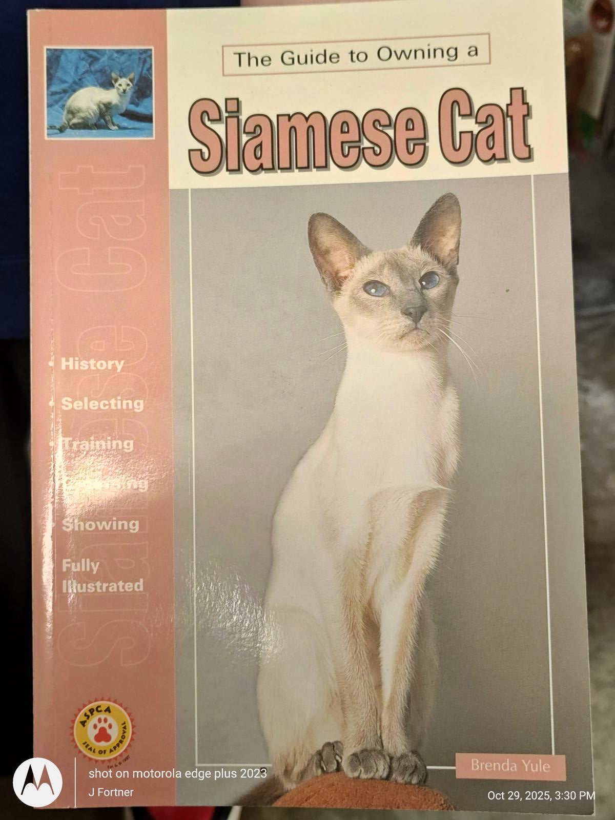 Siamese Cat book cover featuring a Siamese cat with blue eyes and a light-colored coat.