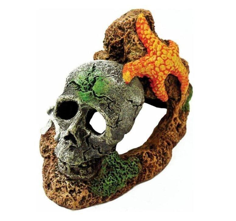 Skull aquarium decoration with starfish detail, perfect for enhancing underwater themes.